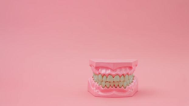 Dentures on pastel pink backgrounds, dental concepts