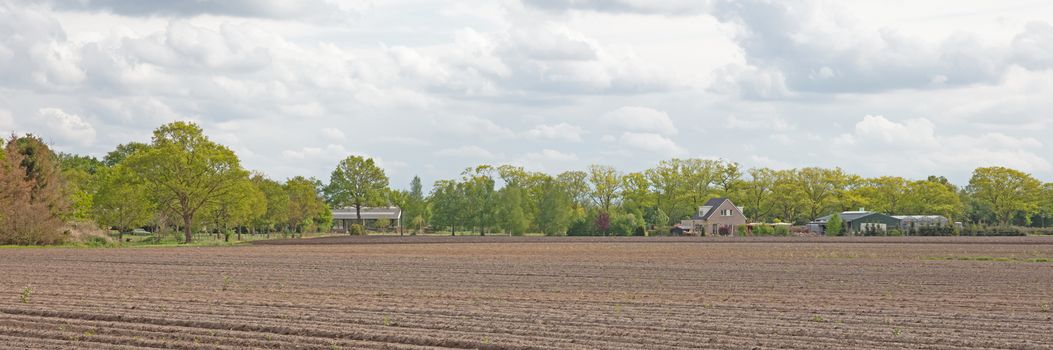 View of agricultural land prepared for sowing, arable soil, the Netherlands