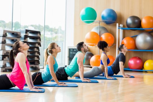 Fitness class exercising in the studio at the gym