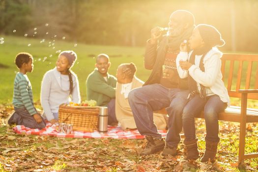 Happy family having a picnic in parkland