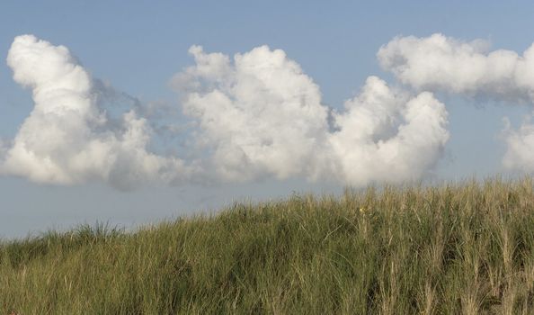 the dune on the island of texel