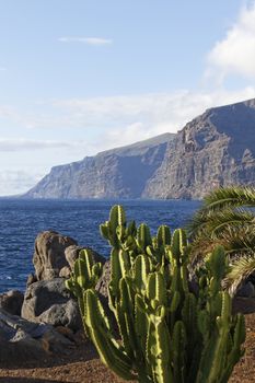 Los Gigantes - a cliff at tenerife