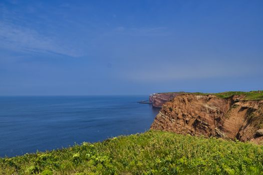 The Coastline of Heligoland - blue sky and blue north sea - green flower in front