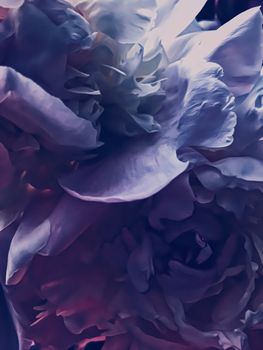 Purple peony flower as abstract floral background for holiday branding design