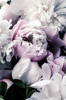 Pastel peony flowers as floral art background, botanical flatlay and luxury branding design