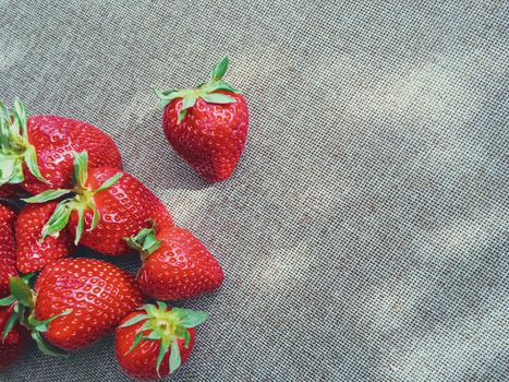 Organic strawberries on rustic linen background, fruit farming and agriculture