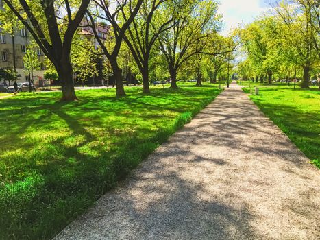 Sunny alley in the city park in spring, nature and outdoor landscape scenery
