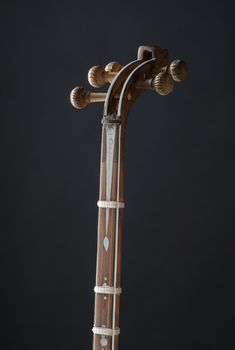 ancient Asian stringed musical instrument on black background with backlight. tuning peg