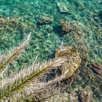 Sea shore. Stones and surf, framed by green palm leaves