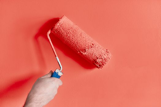 Male hand painting wall with paint roller. Painting apartment, renovating with pink color paint