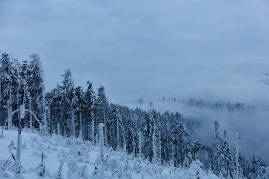 Snow-covered forest on the hillside. Winter mountain landscape.