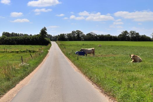 Beautiful view on countryside roads with fields and trees in northern europe.