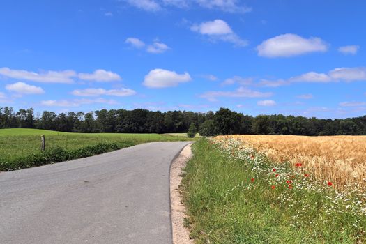 Beautiful view on countryside roads with fields and trees in northern europe.