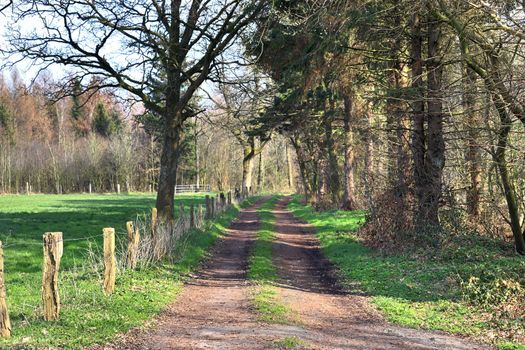 Beautiful view on countryside roads with fields and trees in northern europe.