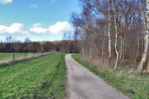 Beautiful view on countryside roads with fields and trees in northern europe.