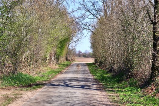 Beautiful view on countryside roads with fields and trees in northern europe.