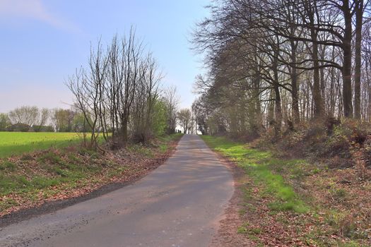 Beautiful view on countryside roads with fields and trees in northern europe.