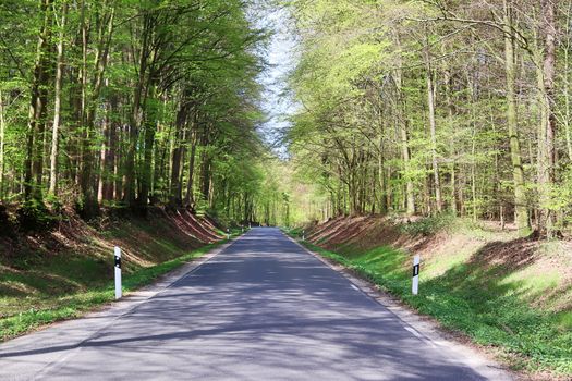 Beautiful view on countryside roads with fields and trees in northern europe.