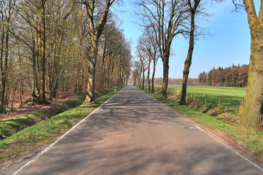 Beautiful view on countryside roads with fields and trees in northern europe.