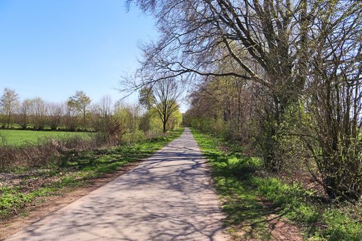 Beautiful view on countryside roads with fields and trees in northern europe.