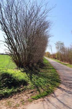 Beautiful view on countryside roads with fields and trees in northern europe.