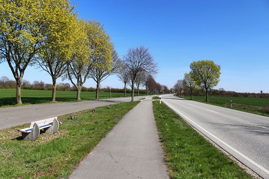 Beautiful view on countryside roads with fields and trees in northern europe.