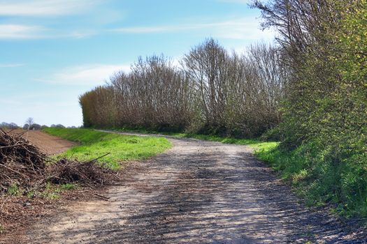 Beautiful view on countryside roads with fields and trees in northern europe.