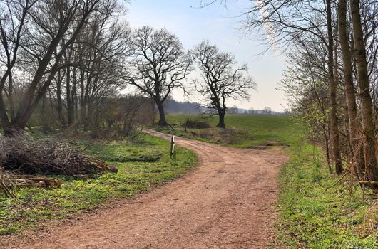 Beautiful view on countryside roads with fields and trees in northern europe.