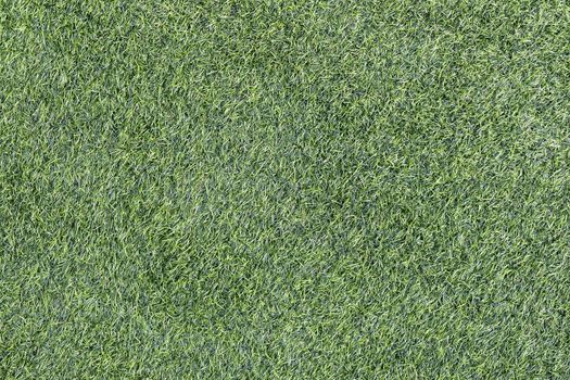 Green grass texture background Soccer field