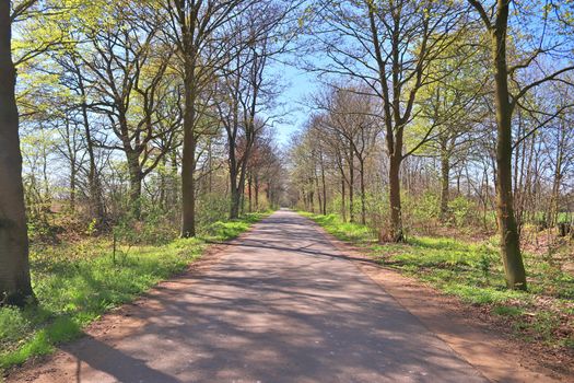 Beautiful view on countryside roads with fields and trees in northern europe.