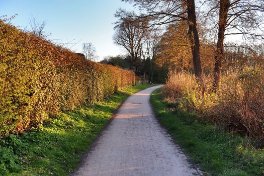 Beautiful view on countryside roads with fields and trees in northern europe.