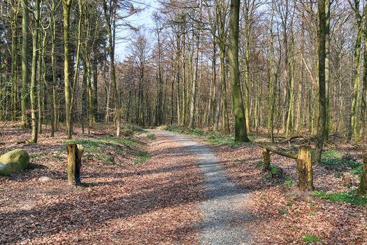 Beautiful view on countryside roads with fields and trees in northern europe.