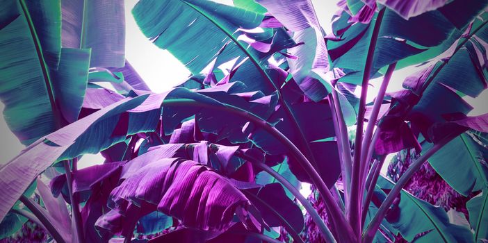 Abstract banana leaves background neon color