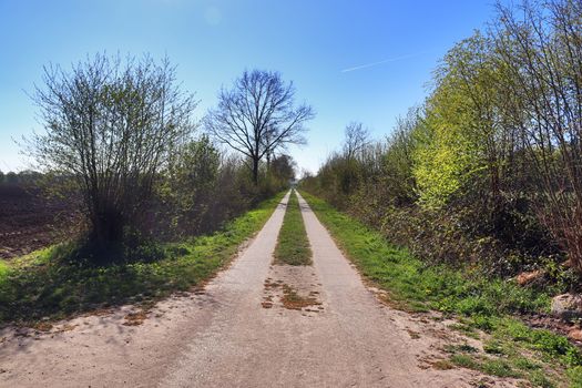 Beautiful view on countryside roads with fields and trees in northern europe.