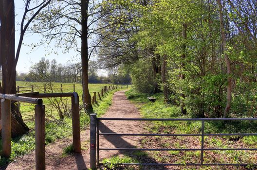 Beautiful view on countryside roads with fields and trees in northern europe.