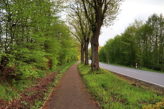 Beautiful view on countryside roads with fields and trees in northern europe.