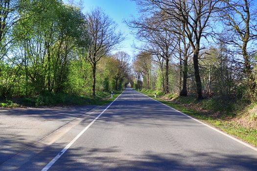 Beautiful view on countryside roads with fields and trees in northern europe.