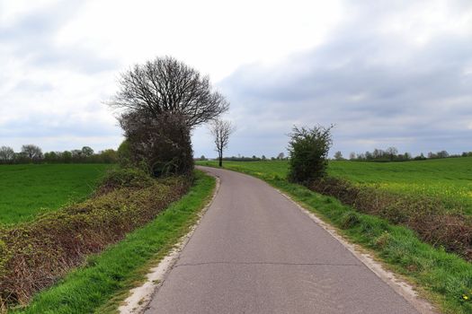 Beautiful view on countryside roads with fields and trees in northern europe.