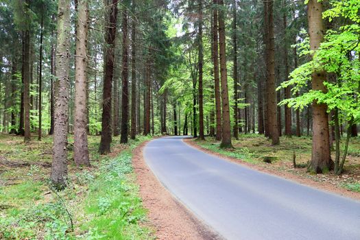 Beautiful view on countryside roads with fields and trees in northern europe.