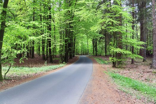 Beautiful view on countryside roads with fields and trees in northern europe.