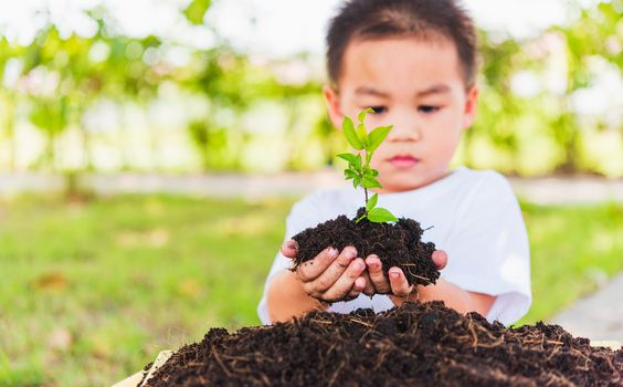 World Environment Day Environment Concept, Hand of Asian cute little cheerful child boy holding young tree on black soil ready to plan on green garden background