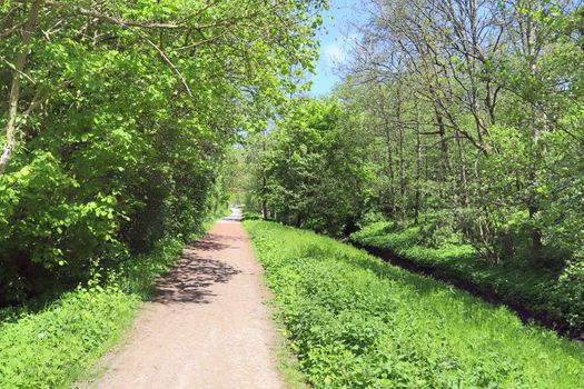 Beautiful view on countryside roads with fields and trees in northern europe.