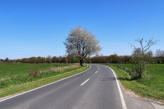 Beautiful view on countryside roads with fields and trees in northern europe.