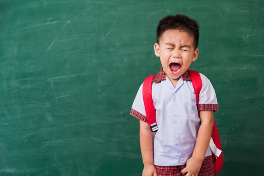 Back to School. Happy Asian funny cute little child boy from kindergarten in student uniform with school bag stand smiling on green school blackboard, First time to school education concept