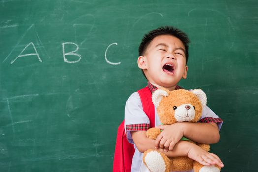 Back to School. Happy Asian funny cute little child boy from kindergarten in student uniform with school bag smiling and hugging teddy bear on green school blackboard, First time to school education