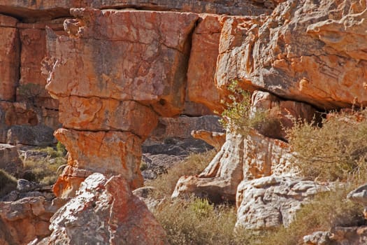 A scene of highly eroded sandstone formations in the Cederberg Wilderness Area, Western Cape. South Africa