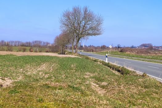 Beautiful view on countryside roads with fields and trees in northern europe.