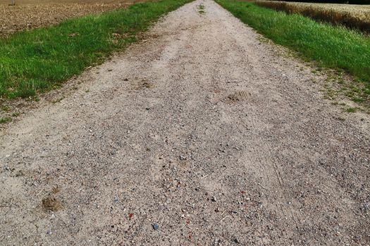 Beautiful view on countryside roads with fields and trees in northern europe.