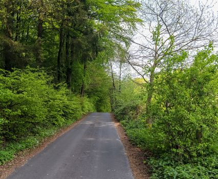 Beautiful view on countryside roads with fields and trees in northern europe.