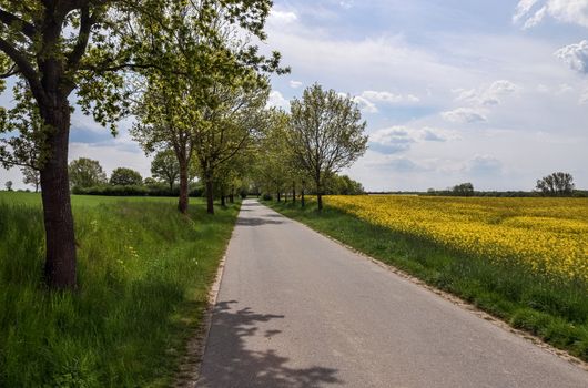 Beautiful view on countryside roads with fields and trees in northern europe.